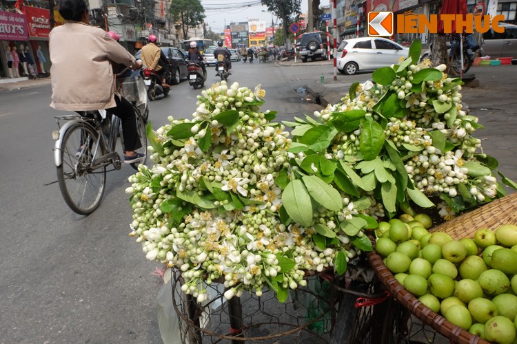 'Một số đặc điểm cơ bản của khí hậu Hà Nội'