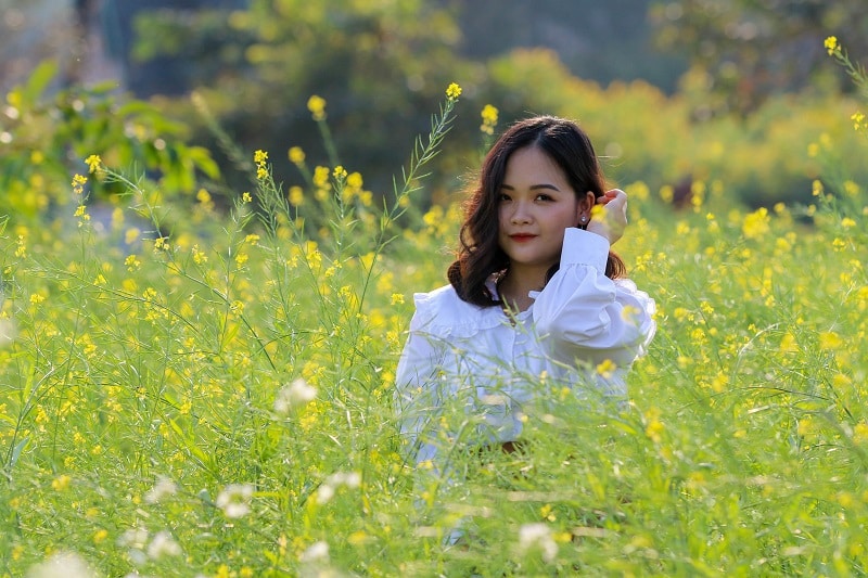 'Golden petals in the mist: Hanoi’s mustard flower fields in winter'