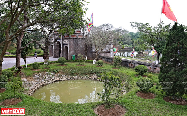 224thanhcocoloa6.png